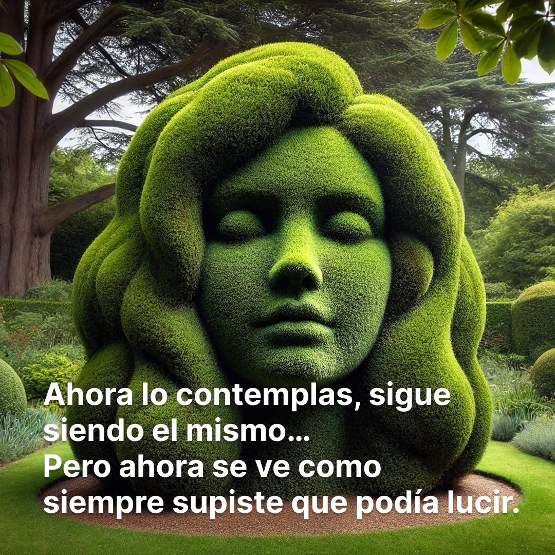 El jardín — 7